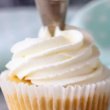 Cream Delight